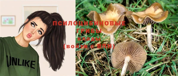 прущие крисы Володарск